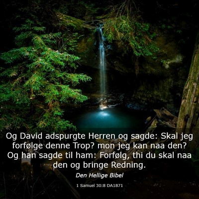 Picture 03 - 1 Samuel 30:8 DA1871 - Og David adspurgte Herren og sagde: Skal jeg - Bible Verse Picture