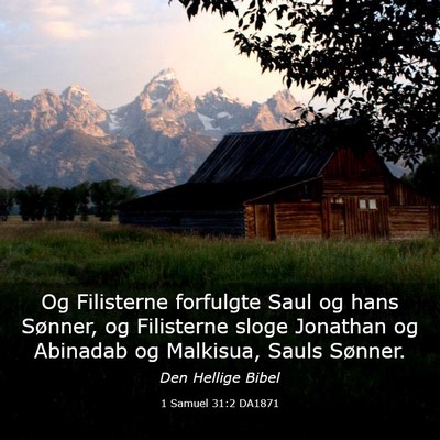 Picture 03 - 1 Samuel 31:2 DA1871 - Og Filisterne forfulgte Saul og hans Sønner, og - Bible Verse Picture