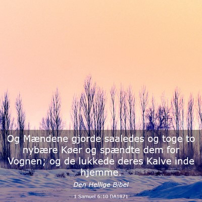 Picture 03 - 1 Samuel 6:10 DA1871 - Og Mændene gjorde saaledes og toge to nybære - Bible Verse Picture