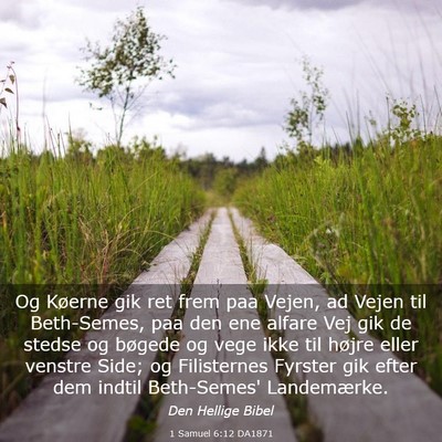 Picture 03 - 1 Samuel 6:12 DA1871 - Og Køerne gik ret frem paa Vejen, ad Vejen til - Bible Verse Picture
