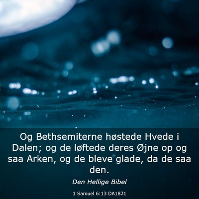 Picture 03 - 1 Samuel 6:13 DA1871 - Og Bethsemiterne høstede Hvede i Dalen; og de - Bible Verse Picture