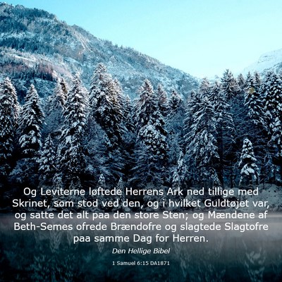 Picture 03 - 1 Samuel 6:15 DA1871 - Og Leviterne løftede Herrens Ark ned tillige med - Bible Verse Picture