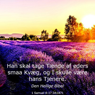 Picture 03 - 1 Samuel 8:17 DA1871 - Han skal tage Tiende af eders smaa Kvæg, og I - Bible Verse Picture