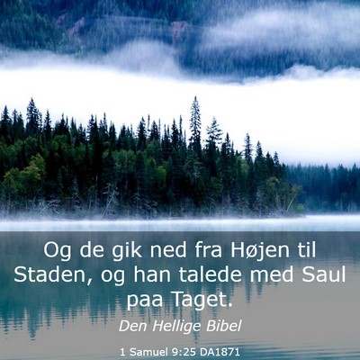 Picture 03 - 1 Samuel 9:25 DA1871 - Og de gik ned fra Højen til Staden, og han - Bible Verse Picture