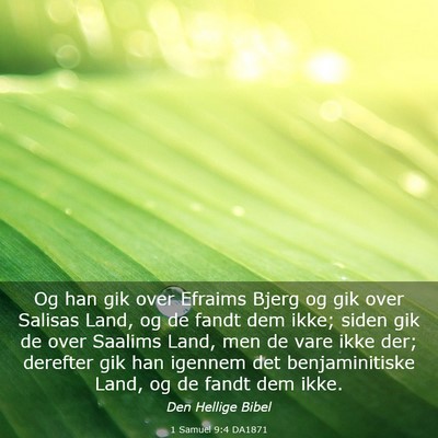 Picture 03 - 1 Samuel 9:4 DA1871 - Og han gik over Efraims Bjerg og gik over Salisas - Bible Verse Picture