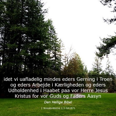 Picture 03 - 1 Tessalonikerne 1:3 DA1871 - idet vi uafladelig mindes eders Gerning i Troen - Bible Verse Picture