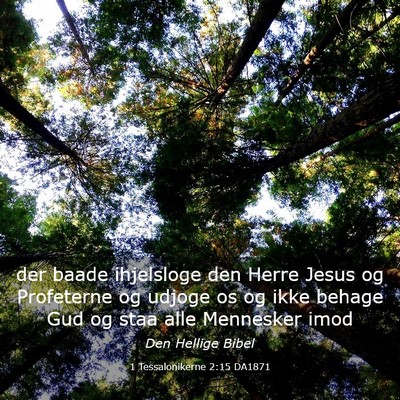 Picture 03 - 1 Tessalonikerne 2:15 DA1871 - der baade ihjelsloge den Herre Jesus og - Bible Verse Picture