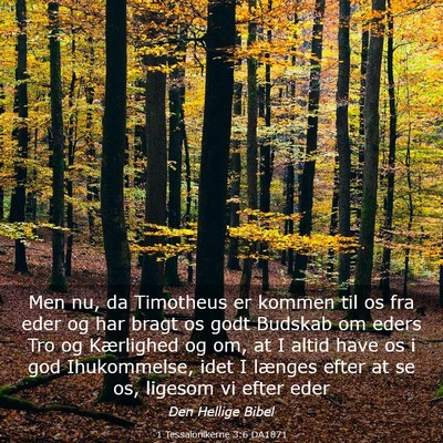 Picture 03 - 1 Tessalonikerne 3:6 DA1871 - Men nu, da Timotheus er kommen til os fra eder og - Bible Verse Picture