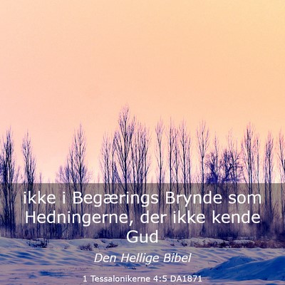 Picture 03 - 1 Tessalonikerne 4:5 DA1871 - ikke i Begærings Brynde som Hedningerne, der - Bible Verse Picture