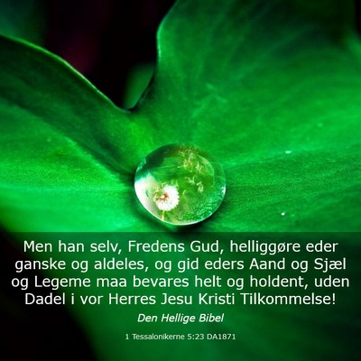 Picture 03 - 1 Tessalonikerne 5:23 DA1871 - Men han selv, Fredens Gud, helliggøre eder - Bible Verse Picture