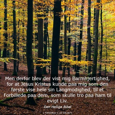 Picture 03 - 1 Timoteus 1:16 DA1871 - Men derfor blev der vist mig Barmhjertighed, for - Bible Verse Picture
