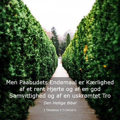 Picture 03 - 1 Timoteus 1:5 DA1871 - Men Paabudets Endemaal er Kærlighed af et rent - Bible Verse Picture