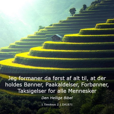Picture 03 - 1 Timoteus 2:1 DA1871 - Jeg formaner da først af alt til, at der holdes - Bible Verse Picture