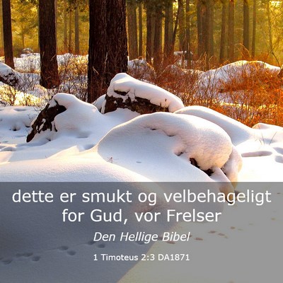Picture 03 - 1 Timoteus 2:3 DA1871 - dette er smukt og velbehageligt for Gud, vor - Bible Verse Picture