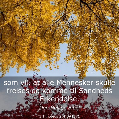 Picture 03 - 1 Timoteus 2:4 DA1871 - som vil, at alle Mennesker skulle frelses og - Bible Verse Picture