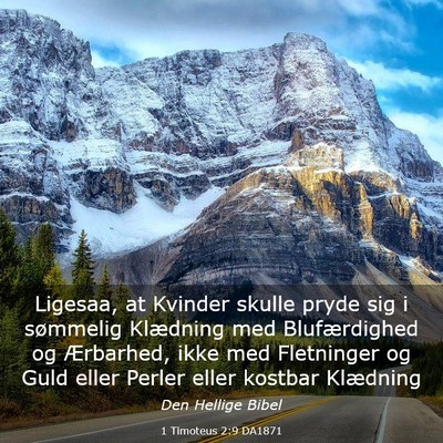 Picture 03 - 1 Timoteus 2:9 DA1871 - Ligesaa, at Kvinder skulle pryde sig i sømmelig - Bible Verse Picture
