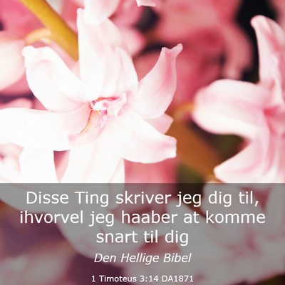 Picture 03 - 1 Timoteus 3:14 DA1871 - Disse Ting skriver jeg dig til, ihvorvel jeg - Bible Verse Picture