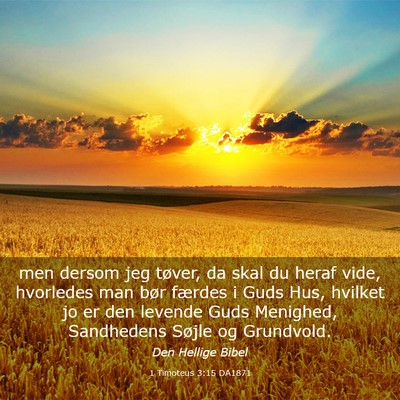 Picture 03 - 1 Timoteus 3:15 DA1871 - men dersom jeg tøver, da skal du heraf vide, - Bible Verse Picture