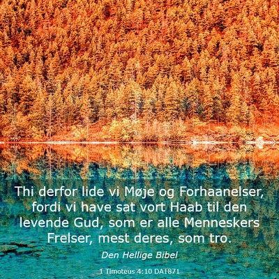 Picture 03 - 1 Timoteus 4:10 DA1871 - Thi derfor lide vi Møje og Forhaanelser, fordi - Bible Verse Picture
