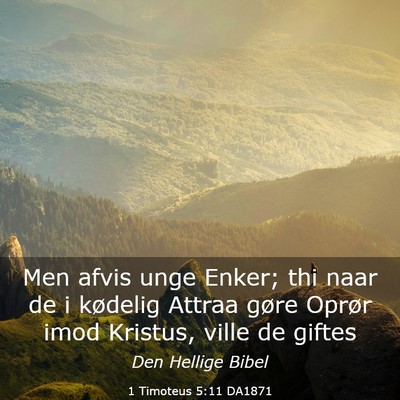 Picture 03 - 1 Timoteus 5:11 DA1871 - Men afvis unge Enker; thi naar de i kødelig - Bible Verse Picture