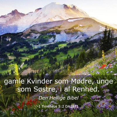 Picture 03 - 1 Timoteus 5:2 DA1871 - gamle Kvinder som Mødre, unge som Søstre, i al - Bible Verse Picture