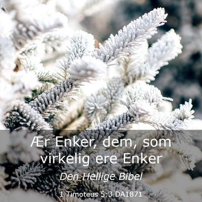 Picture 03 - 1 Timoteus 5:3 DA1871 - Ær Enker, dem, som virkelig ere - Bible Verse Picture
