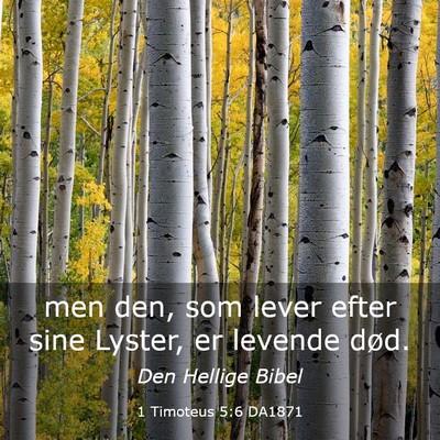 Picture 03 - 1 Timoteus 5:6 DA1871 - men den, som lever efter sine Lyster, er levende - Bible Verse Picture
