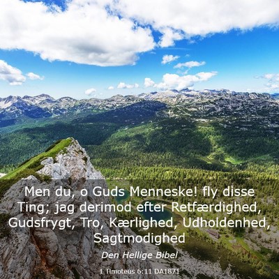 Picture 03 - 1 Timoteus 6:11 DA1871 - Men du, o Guds Menneske! fly disse Ting; jag - Bible Verse Picture