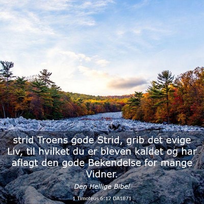 Picture 03 - 1 Timoteus 6:12 DA1871 - strid Troens gode Strid, grib det evige Liv, til - Bible Verse Picture