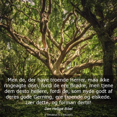 Picture 03 - 1 Timoteus 6:2 DA1871 - Men de, der have troende Herrer, maa ikke - Bible Verse Picture
