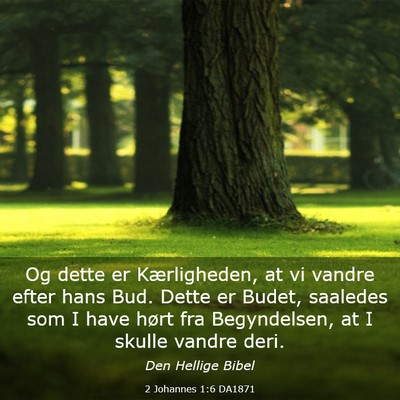 Picture 03 - 2 Johannes 1:6 DA1871 - Og dette er Kærligheden, at vi vandre efter hans - Bible Verse Picture