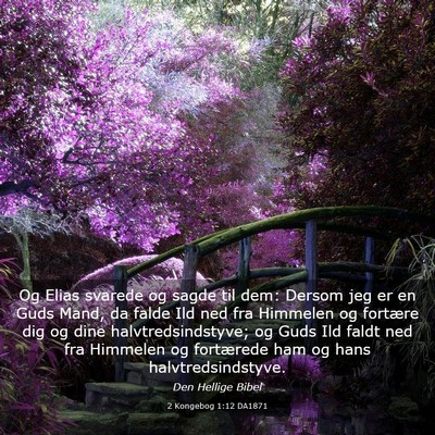 Picture 03 - 2 Kongebog 1:12 DA1871 - Og Elias svarede og sagde til dem: Dersom jeg er - Bible Verse Picture