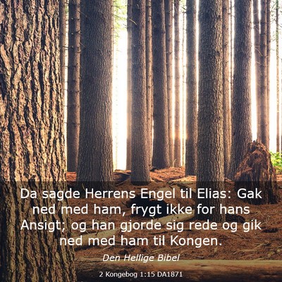 Picture 03 - 2 Kongebog 1:15 DA1871 - Da sagde Herrens Engel til Elias: Gak ned med - Bible Verse Picture