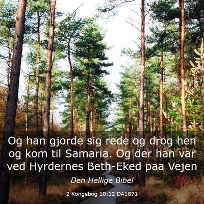 Picture 03 - 2 Kongebog 10:12 DA1871 - Og han gjorde sig rede og drog hen og kom til - Bible Verse Picture