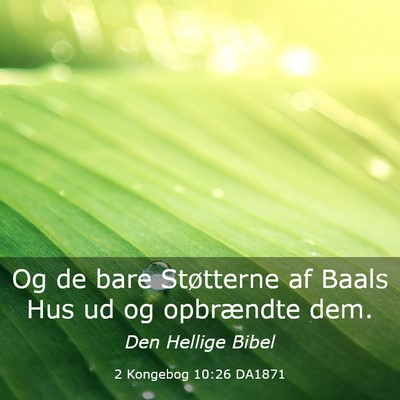 Picture 03 - 2 Kongebog 10:26 DA1871 - Og de bare Støtterne af Baals Hus ud og - Bible Verse Picture