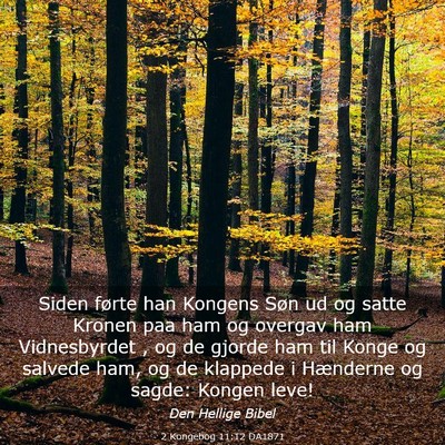 Picture 03 - 2 Kongebog 11:12 DA1871 - Siden førte han Kongens Søn ud og satte Kronen - Bible Verse Picture