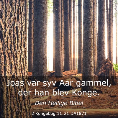 Picture 03 - 2 Kongebog 11:21 DA1871 - Joas var syv Aar gammel, der han blev - Bible Verse Picture