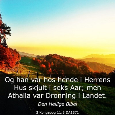 Picture 03 - 2 Kongebog 11:3 DA1871 - Og han var hos hende i Herrens Hus skjult i seks - Bible Verse Picture