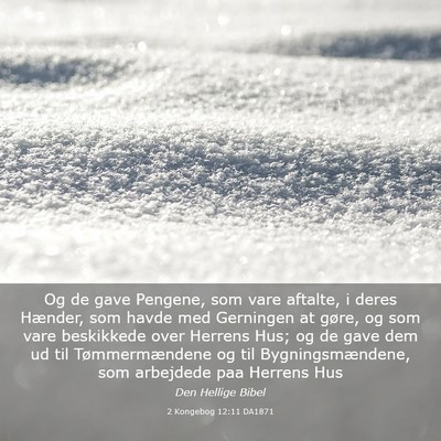Picture 03 - 2 Kongebog 12:11 DA1871 - Og de gave Pengene, som vare aftalte, i deres - Bible Verse Picture