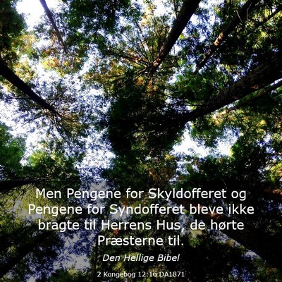 Picture 03 - 2 Kongebog 12:16 DA1871 - Men Pengene for Skyldofferet og Pengene for - Bible Verse Picture