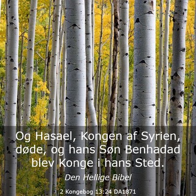 Picture 03 - 2 Kongebog 13:24 DA1871 - Og Hasael, Kongen af Syrien, døde, og hans Søn - Bible Verse Picture