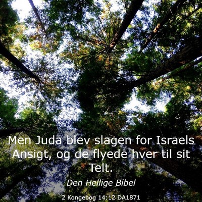Picture 03 - 2 Kongebog 14:12 DA1871 - Men Juda blev slagen for Israels Ansigt, og de - Bible Verse Picture