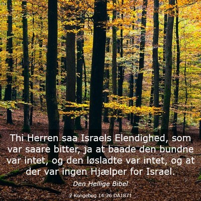 Picture 03 - 2 Kongebog 14:26 DA1871 - Thi Herren saa Israels Elendighed, som var saare - Bible Verse Picture