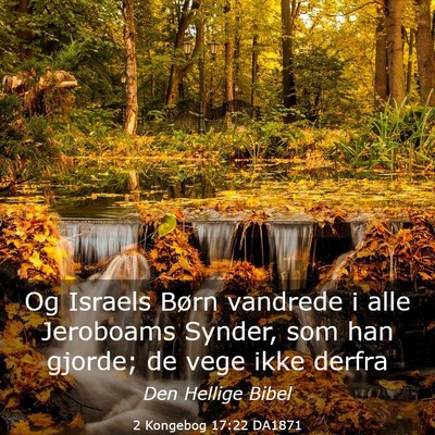 Picture 03 - 2 Kongebog 17:22 DA1871 - Og Israels Børn vandrede i alle Jeroboams - Bible Verse Picture