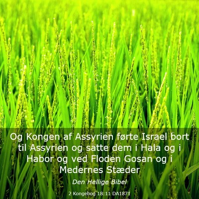 Picture 03 - 2 Kongebog 18:11 DA1871 - Og Kongen af Assyrien førte Israel bort til - Bible Verse Picture