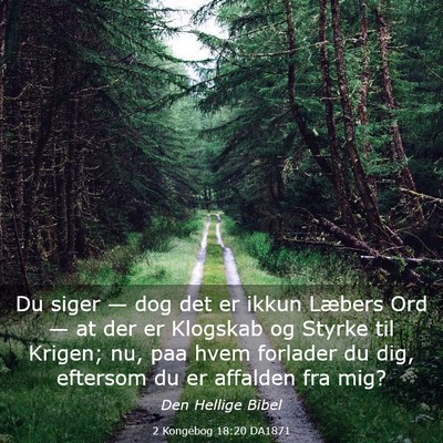 Picture 03 - 2 Kongebog 18:20 DA1871 - Du siger — dog det er ikkun Læbers Ord — at - Bible Verse Picture