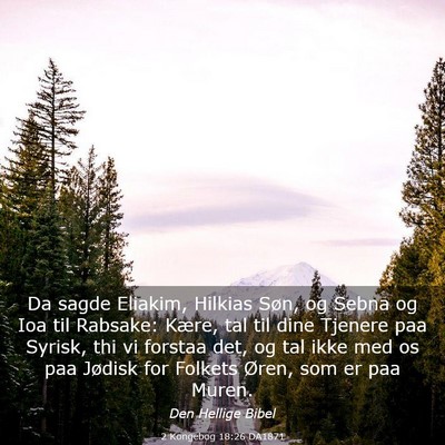 Picture 03 - 2 Kongebog 18:26 DA1871 - Da sagde Eliakim, Hilkias Søn, og Sebna og Ioa - Bible Verse Picture