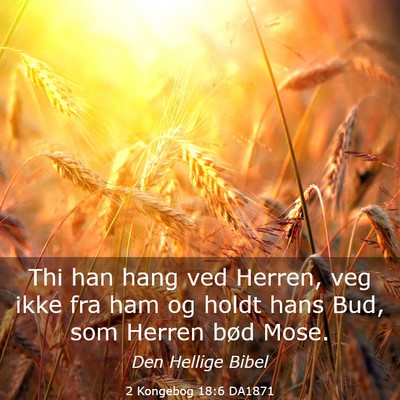 Picture 03 - 2 Kongebog 18:6 DA1871 - Thi han hang ved Herren, veg ikke fra ham og - Bible Verse Picture