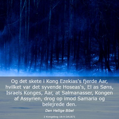 Picture 03 - 2 Kongebog 18:9 DA1871 - Og det skete i Kong Ezekias's fjerde Aar, hvilket - Bible Verse Picture