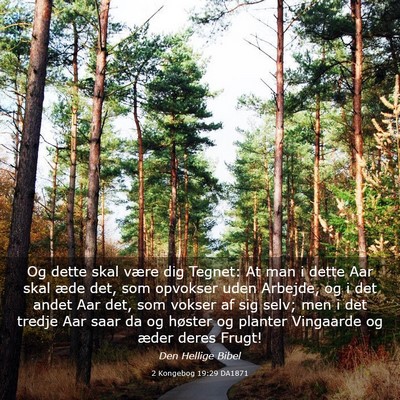 Picture 03 - 2 Kongebog 19:29 DA1871 - Og dette skal være dig Tegnet: At man i dette - Bible Verse Picture